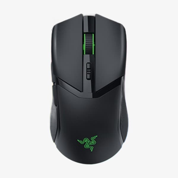 Razer Cobra Pro 블랙